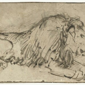 Rembrandt van Rijn, Liegender Löwe, ca. 1660, Rijksmuseum Amsterdam